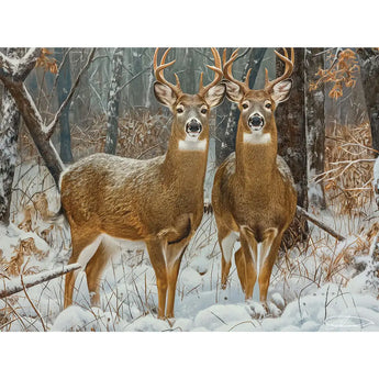 Set Of 6 Shawna Stewart Jigsaw Puzzles